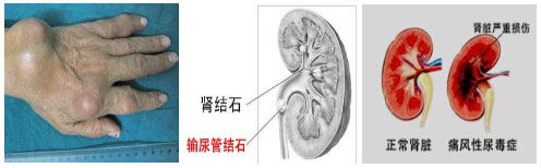 Fꖏ(qing)ֱt(y)ԺʹL(fng)Ɍ(do)ʹL(fng)ʯIY(ji)ʯIK.jpg